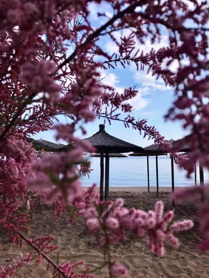 Hotel Nautilos Sozopoli Zewnętrze zdjęcie